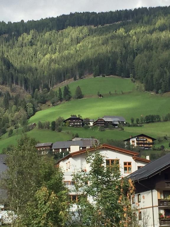 House Arianna Apartment Bad Kleinkirchheim Cameră foto